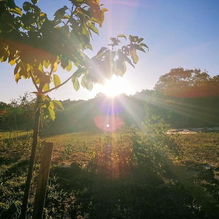 Le Temps Serein Vabre-Tizac ภายนอก รูปภาพ